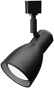 Lithonia Lighting BR20 Double Baffle Track Light Head Black