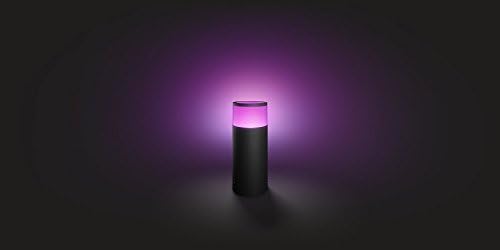 Philips Hue Calla Path Light Base Kit with Alexa Compatibility
