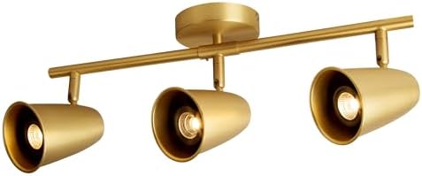 Aisilan 21W Gold LED Track Lighting with Rotating Heads