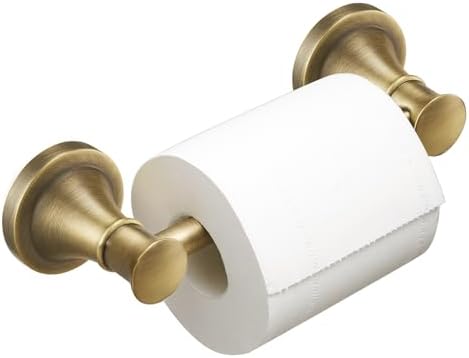 BESy Wall Mounted Toilet Paper Holder Stainless Steel