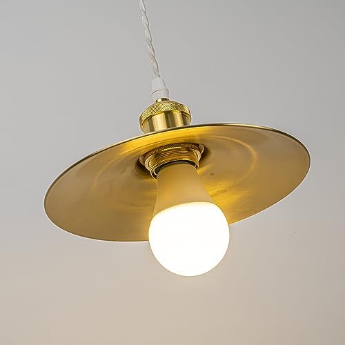 SKIVTGLAMP Remote Control LED Pendant Track Light with Adjustable Height