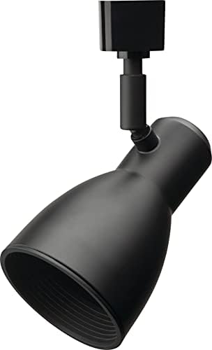 Lithonia Lighting BR20 Double Baffle Track Light Head Black
