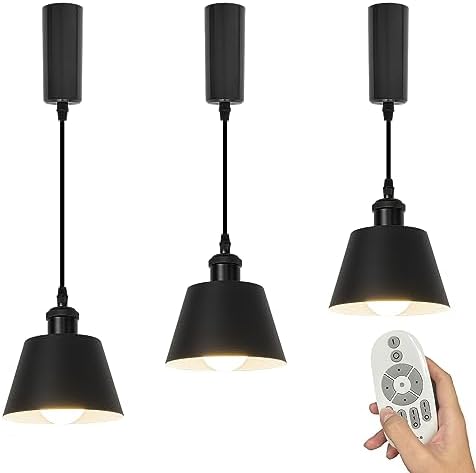 SKIVTGLAMP Remote Control LED Track Pendant Light 3 Lights 5ft Adjustable 1