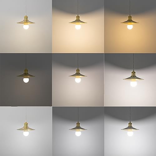 SKIVTGLAMP Remote Control LED Pendant Track Light with Adjustable Height