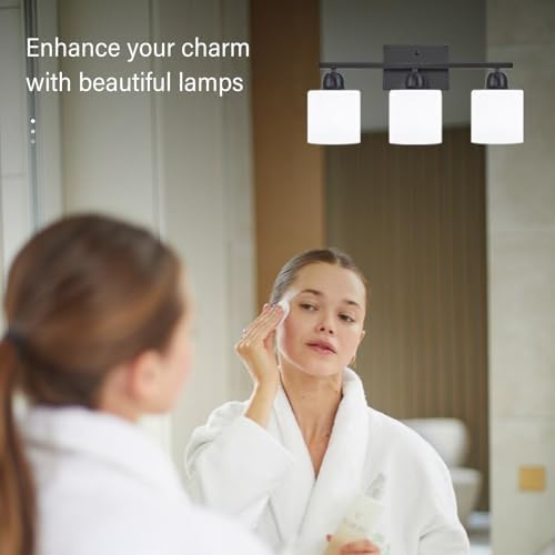 FAISHILAN 3-Light Black Bathroom Vanity Light with Clear Glass Shades