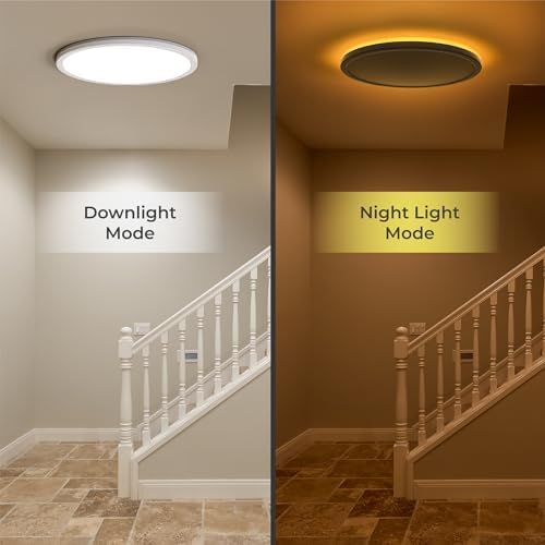 Matane 12in LED Flush Mount Light with Remote Control