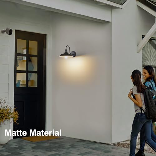 Double Century 2-Pack Barn Light Outdoor Wall Sconce