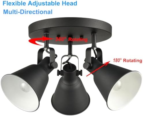 DIRYZON EUL 3-Light Ceiling Spot Light - Matte Black Industrial Style