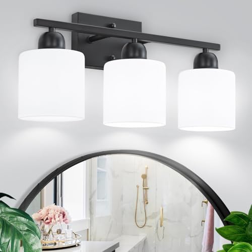 FAISHILAN 3-Light Black Bathroom Vanity Light with Clear Glass Shades