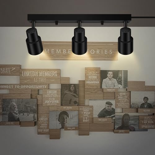 Bricosmocon 3-Light Black Track Lighting Fixture