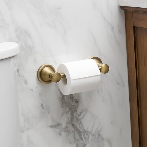 BESy Wall Mounted Toilet Paper Holder Stainless Steel