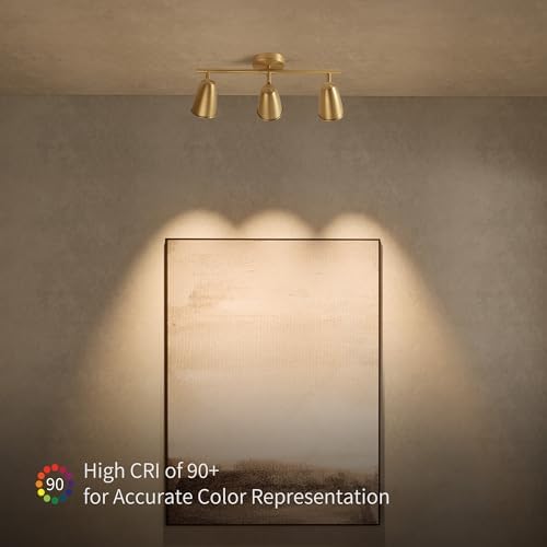 Aisilan 21W Gold LED Track Lighting with Rotating Heads