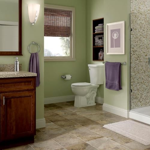 Delta Lahara Toilet Paper Holder Polished Chrome