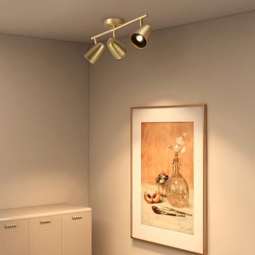 Aisilan 21W Gold LED Track Lighting with Rotating Heads