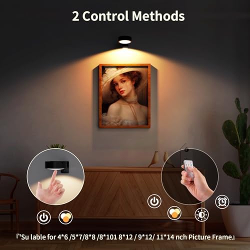 Narotood 3 Pack Picture Lights with 3 Modes and Remote Control 1