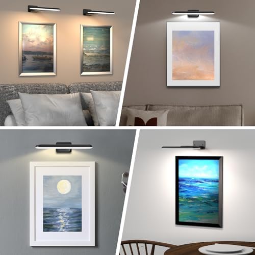 NARUNDREN 2 Pack Dimmable Picture Lights with Remote
