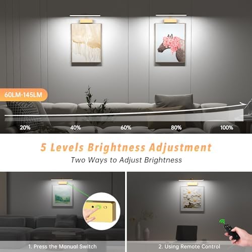 Wireless Rechargeable Picture Light with Remote