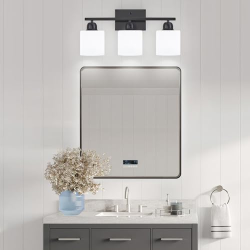 FAISHILAN 3-Light Black Bathroom Vanity Light with Clear Glass Shades