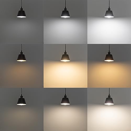 SKIVTGLAMP Remote Control LED Track Pendant Light 3 Lights 5ft Adjustable 1