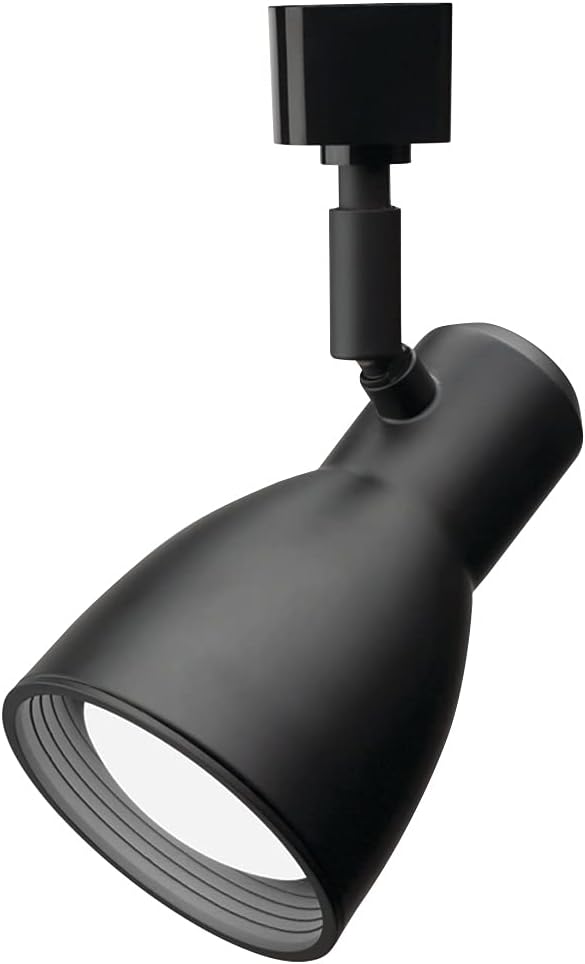 Lithonia Lighting BR20 Double Baffle Track Light Head Black