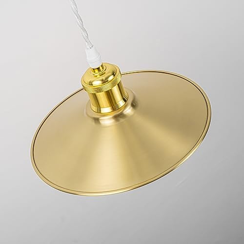 SKIVTGLAMP Remote Control LED Pendant Track Light with Adjustable Height