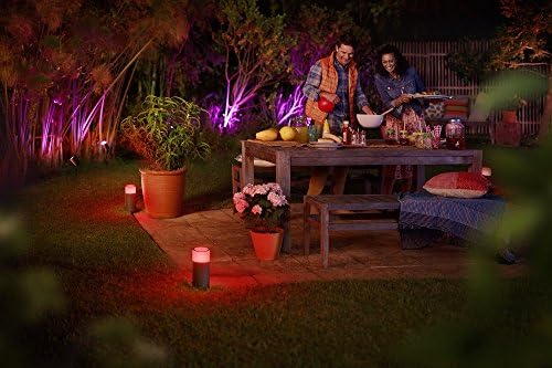 Philips Hue Calla Path Light Base Kit with Alexa Compatibility
