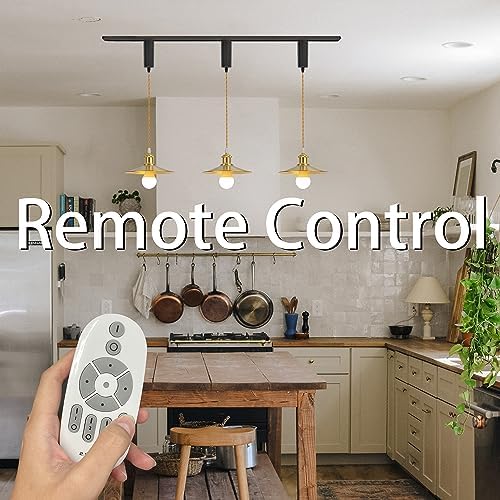SKIVTGLAMP Remote Control LED Pendant Track Light with Adjustable Height