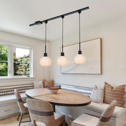 WINSHEN Black H-Type Track Pendant Light