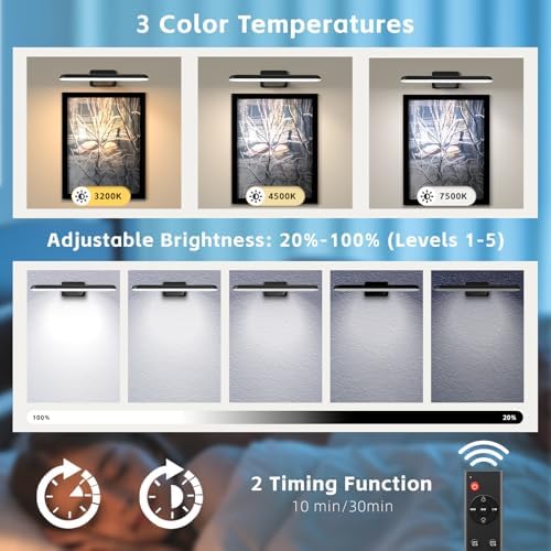 NARUNDREN 2 Pack Dimmable Picture Lights with Remote