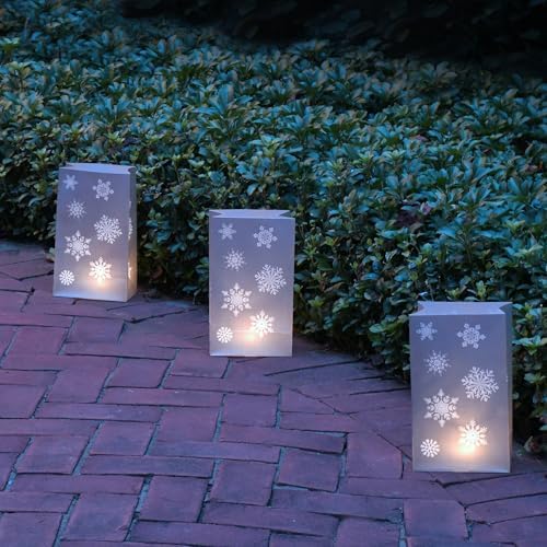 LumaBase Battery Operated Luminaria Kit with Timer Silver Snowflake - Set of 6