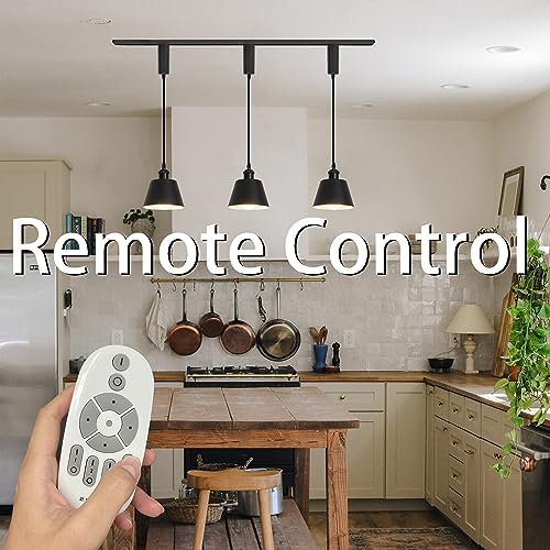 SKIVTGLAMP Remote Control LED Track Pendant Light 3 Lights 5ft Adjustable 1