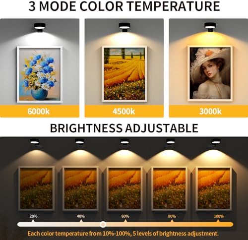 Narotood 3 Pack Picture Lights with 3 Modes and Remote Control 1