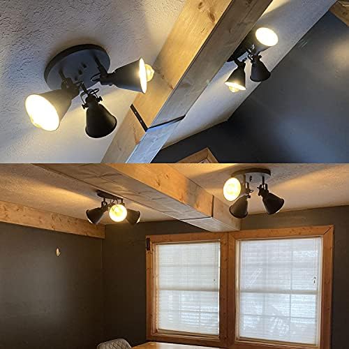 DIRYZON EUL 3-Light Ceiling Spot Light - Matte Black Industrial Style