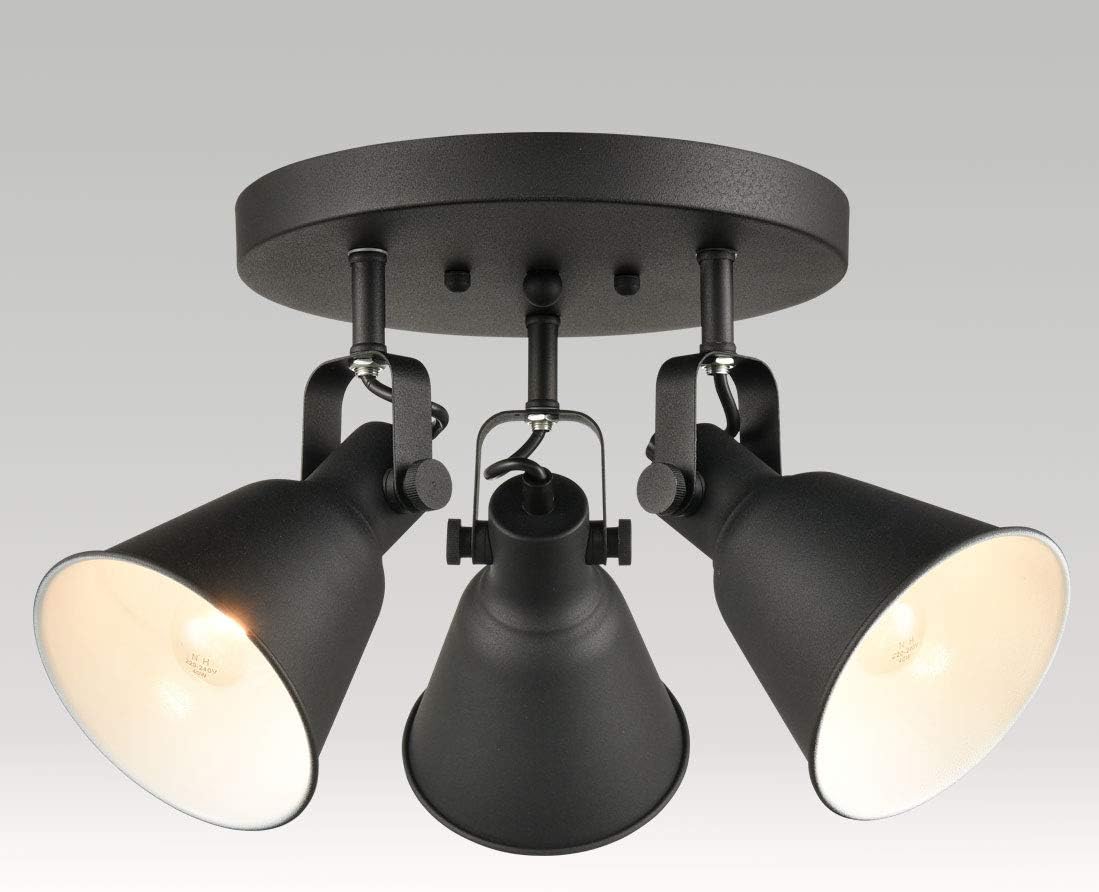 DIRYZON EUL 3-Light Ceiling Spot Light - Matte Black Industrial Style