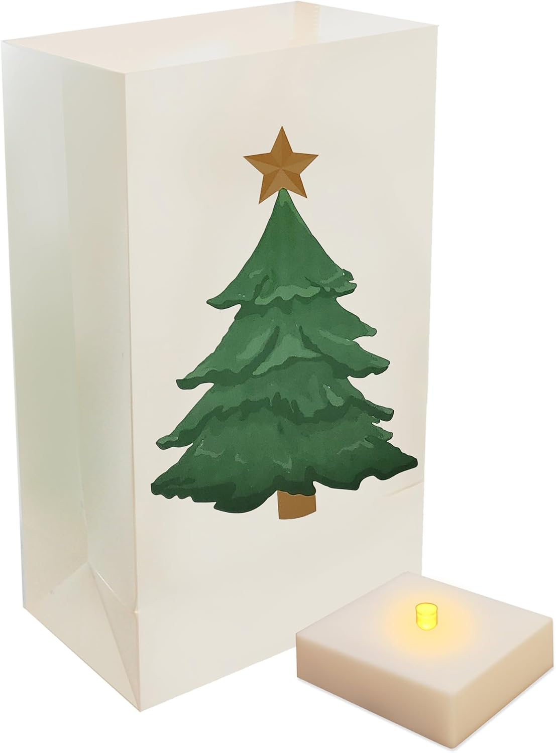LumaBase Luminaria Kit with Timer - 6 Pack