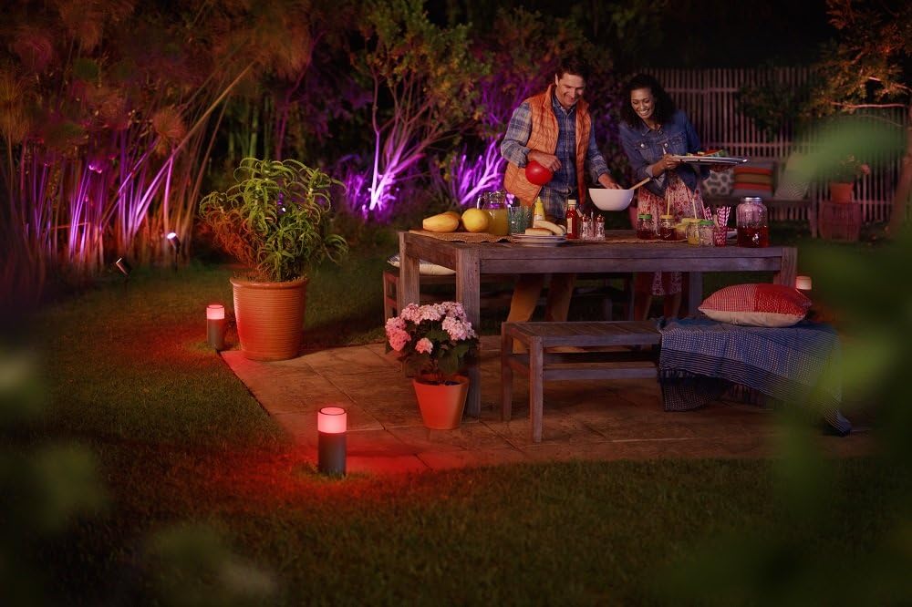 Philips Hue Calla Path Light Base Kit with Alexa Compatibility