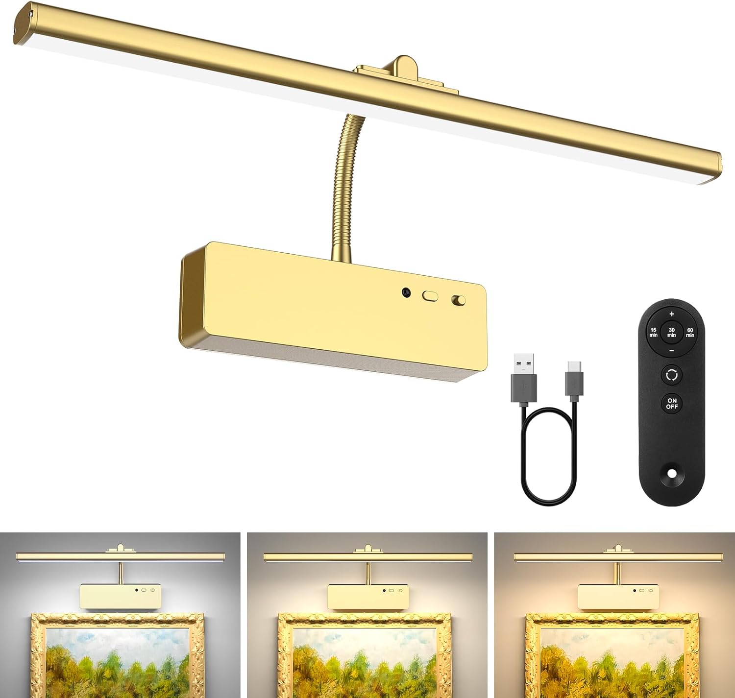 Wireless Rechargeable Picture Light with Remote