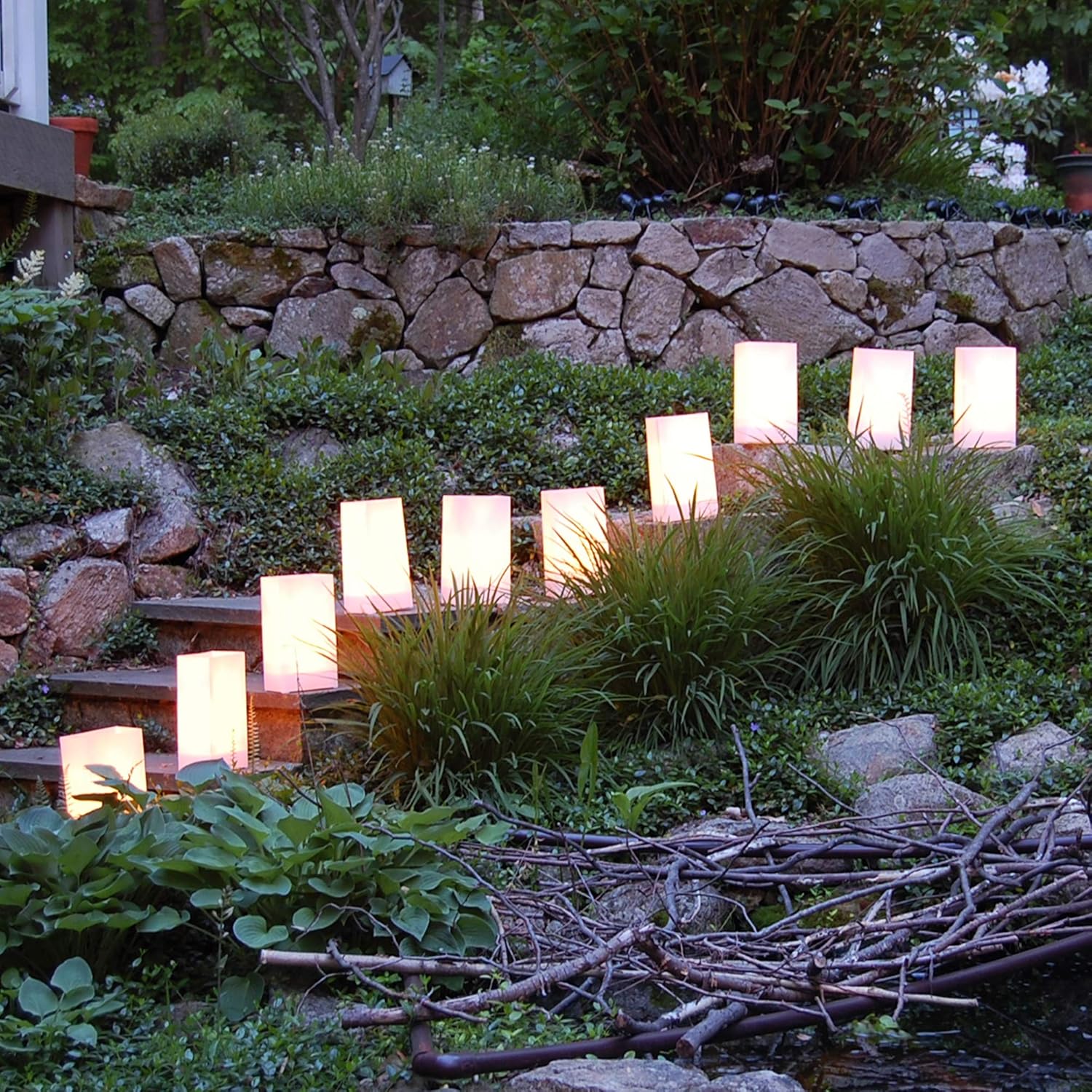 LumaBase 318100 Plastic Lanterns White Pack of 100