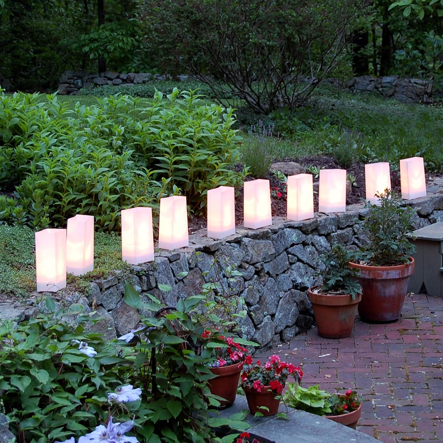 LumaBase 318100 Plastic Lanterns White Pack of 100